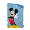 Trapunta Piumone Invernale Topolino Disney Per Letto Singolo J897